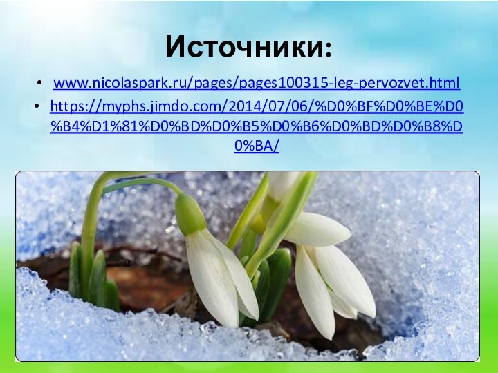 Источники:www.nicolaspark.ru/pages/pages100315-leg-pervozvet.htmlhttps://myphs.jimdo.com/2014/07/06/%D0%BF%D0%BE%D0%B4%D1%81%D0%BD%D0%B5%D0%B6%D0%BD%D0%B8%D0%BA/