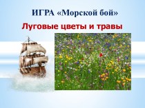 Морской бой Луговые цветы и травы
