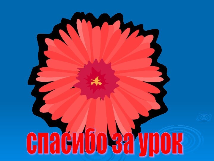 спасибо за урок