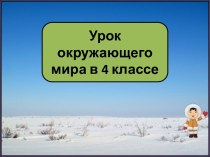 Презентация к уроку окружающего мира Тундра, 4 класс