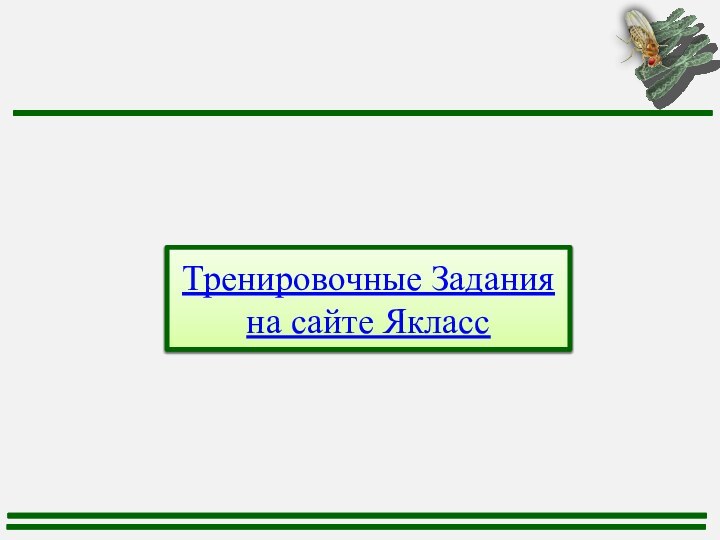 Тренировочные Задания на сайте Якласс