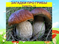 Презентация Загадки про грибы. Часть 1