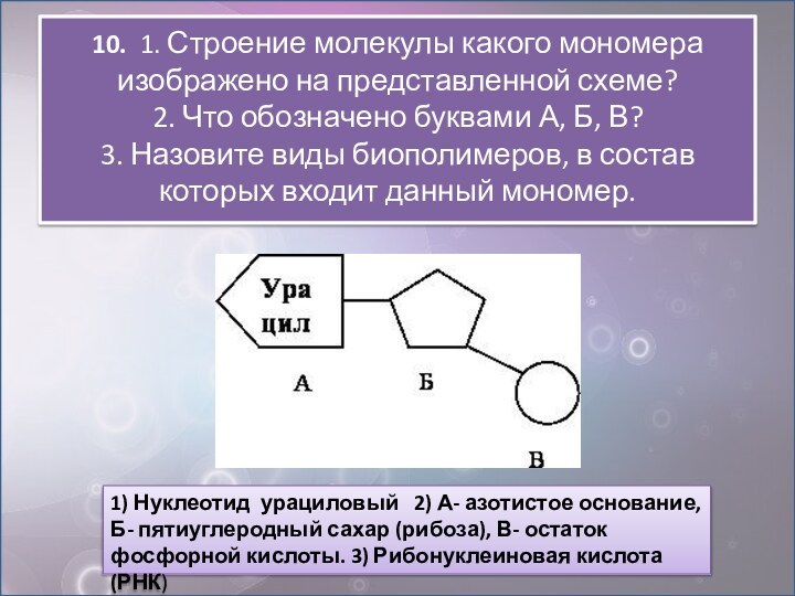 10. 1. Строение молекулы какого мономера изображено на представленной схеме?