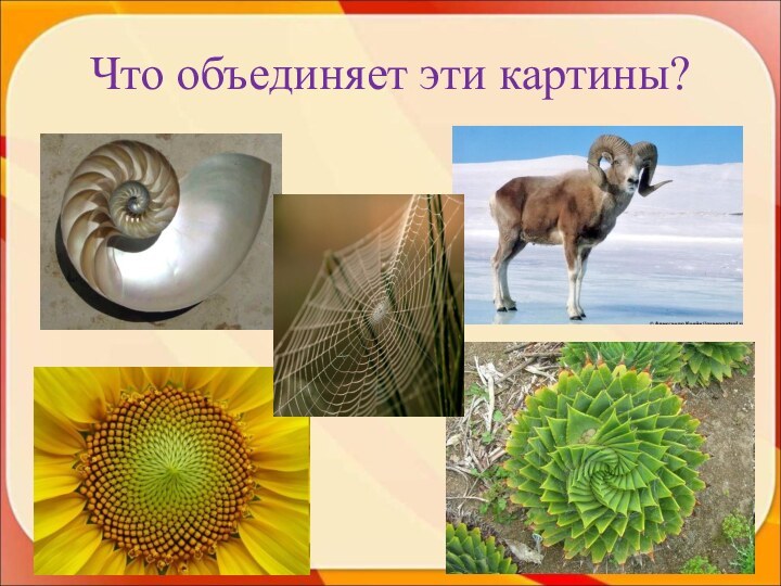 Что объединяет эти картины?