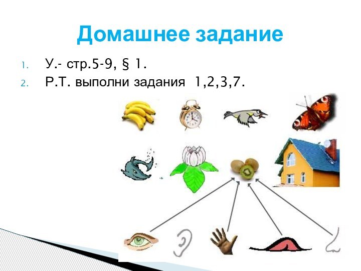 У.- стр.5-9, § 1.Р.Т. выполни задания 1,2,3,7.Домашнее задание