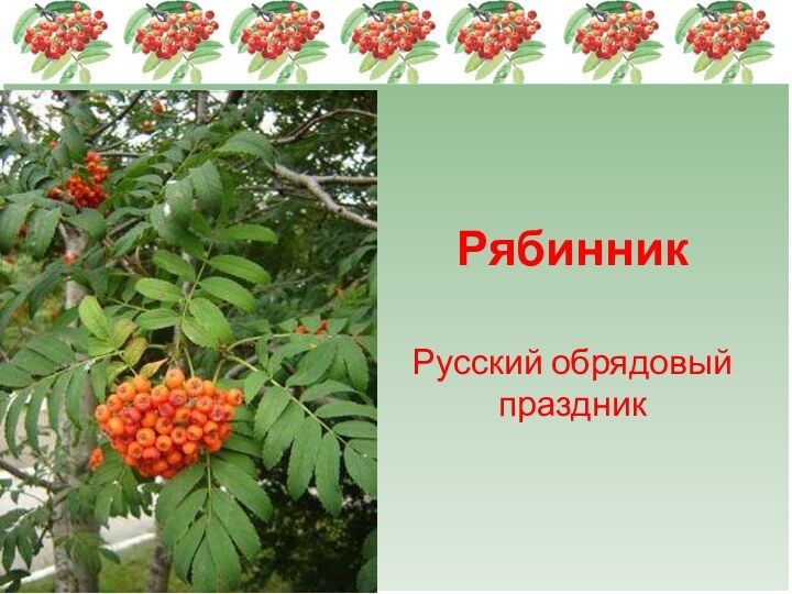 Рябинник Русский обрядовый праздник