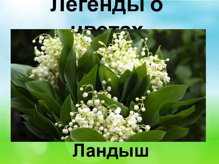 Легенды о цветах Ландыш