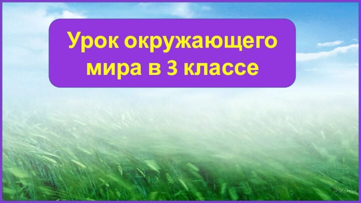 Урок окружающего мира в 3 классе