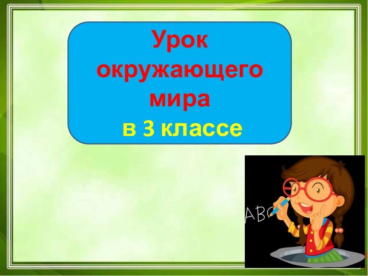 Урок окружающего мира в 3 классе