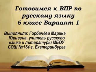 Готовимся к ВПР по русскому языку. 6 класс. Вариант 1