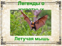 Презентация Легенды о животных. Летучая мышь