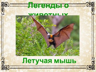 Презентация Легенды о животных. Летучая мышь