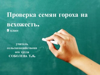 Урок сельскохозяйственного труда Проверка семян гороха на всхожесть, 5 класс