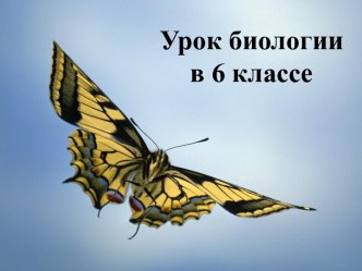 Урок Движение животных