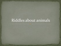 Презентация Загадки о животных