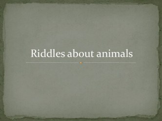 Презентация Загадки о животных