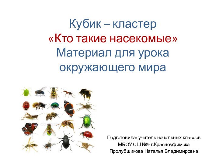 Кубик – кластер «Кто такие насекомые» Материал для урока окружающего мираПодготовила: учитель