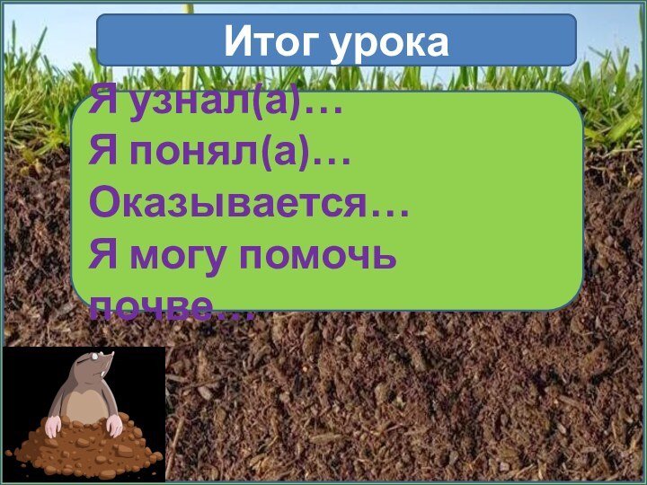 Итог урокаЯ узнал(а)…Я понял(а)…Оказывается…Я могу помочь почве…