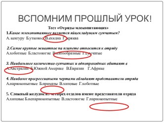 Презентация к уроку на тему Экологические группы млекопитающих