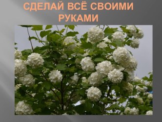 Презентация Сделай всё своими руками (все кадры в презентации свои)