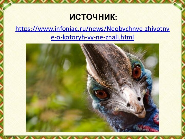 ИСТОЧНИК:https://www.infoniac.ru/news/Neobychnye-zhivotnye-o-kotoryh-vy-ne-znali.html