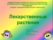 Презентация Лекарственные растения