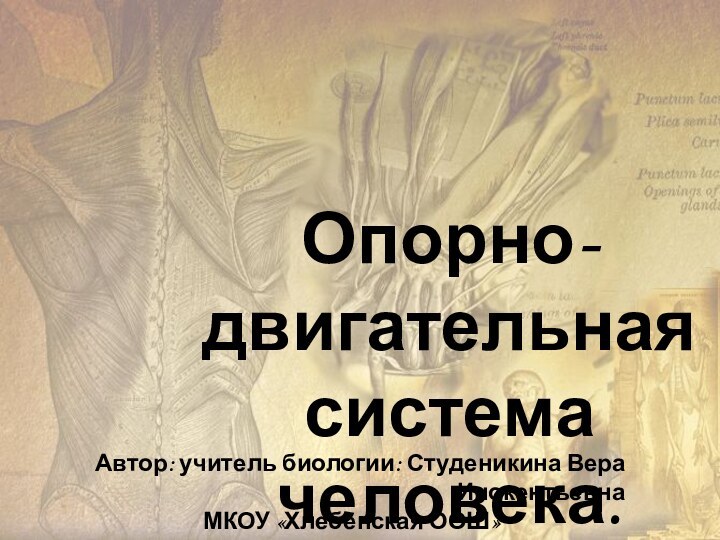 Опорно-двигательная система человека. Автор: учитель биологии: Студеникина Вера ИнокентьевнаМКОУ «Хлебенская ООШ»