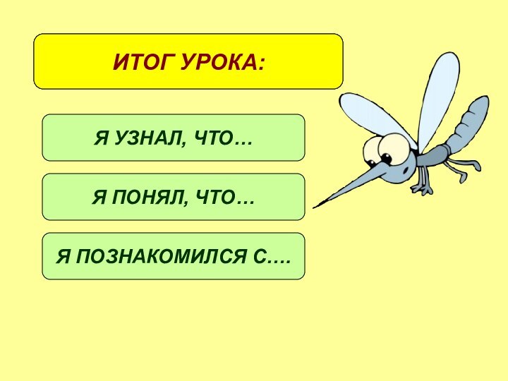 ИТОГ УРОКА:Я УЗНАЛ, ЧТО…Я ПОНЯЛ, ЧТО…Я ПОЗНАКОМИЛСЯ С….ИТОГ УРОКА: