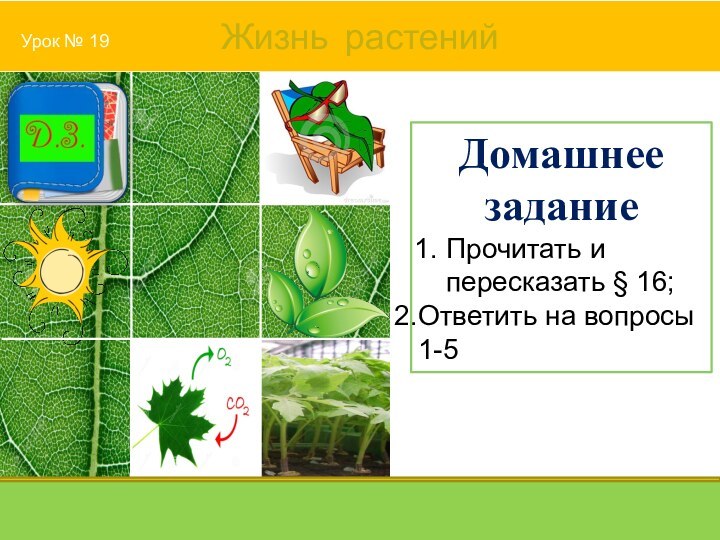 Домашнее заданиеПрочитать и пересказать § 16;Ответить на вопросы 1-5 Урок № 19