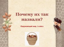 Презентация к уроку окружающего мира Почему их так назвали?