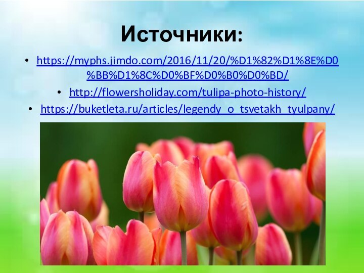 Источники:https://myphs.jimdo.com/2016/11/20/%D1%82%D1%8E%D0%BB%D1%8C%D0%BF%D0%B0%D0%BD/http://flowersholiday.com/tulipa-photo-history/https://buketleta.ru/articles/legendy_o_tsvetakh_tyulpany/