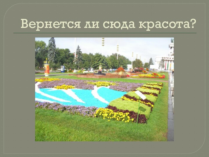 Вернется ли сюда красота?