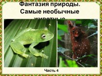 Презентация Фантазия природы. Самые необычные животные. Часть 4