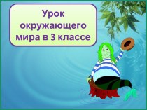 Презентация к уроку окружающего мира Безопасное поведение у водоемов, 3 класс