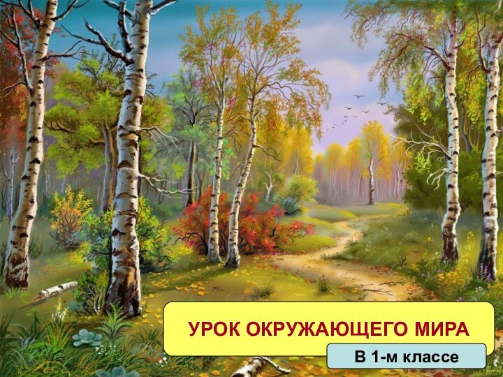 УРОК ОКРУЖАЮЩЕГО МИРАВ 1-м классе