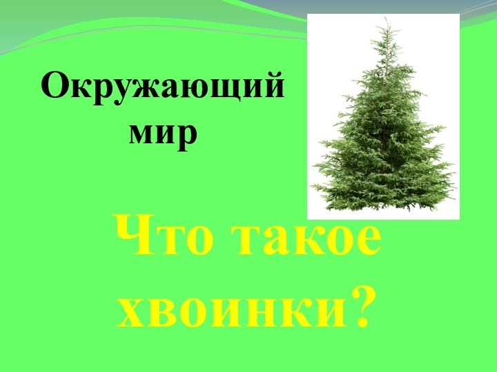 Окружающий мирЧто такое   хвоинки?