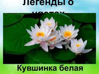 Презентация Легенды о цветах. Кувшинка белая