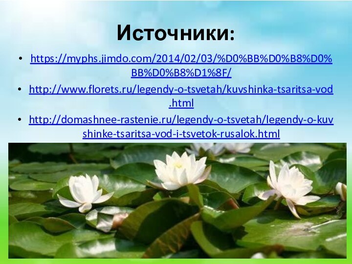 Источники:https://myphs.jimdo.com/2014/02/03/%D0%BB%D0%B8%D0%BB%D0%B8%D1%8F/http://www.florets.ru/legendy-o-tsvetah/kuvshinka-tsaritsa-vod.htmlhttp://domashnee-rastenie.ru/legendy-o-tsvetah/legendy-o-kuvshinke-tsaritsa-vod-i-tsvetok-rusalok.html