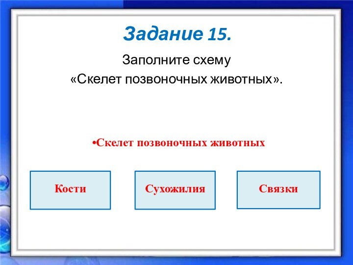 Задание 15.Заполните схему «Скелет позвоночных животных».КостиСухожилияСвязки