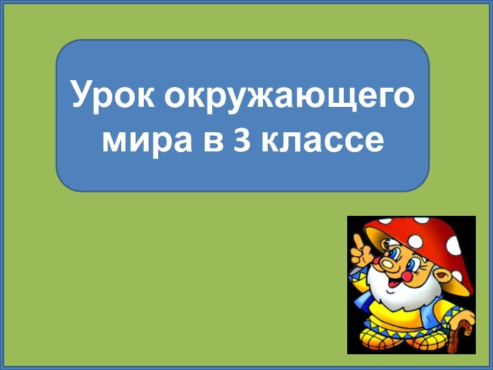 Урок окружающего мира в 3 классе