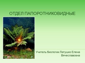 Урок биологии для 6 класса по теме Отдел Папоротниковидные