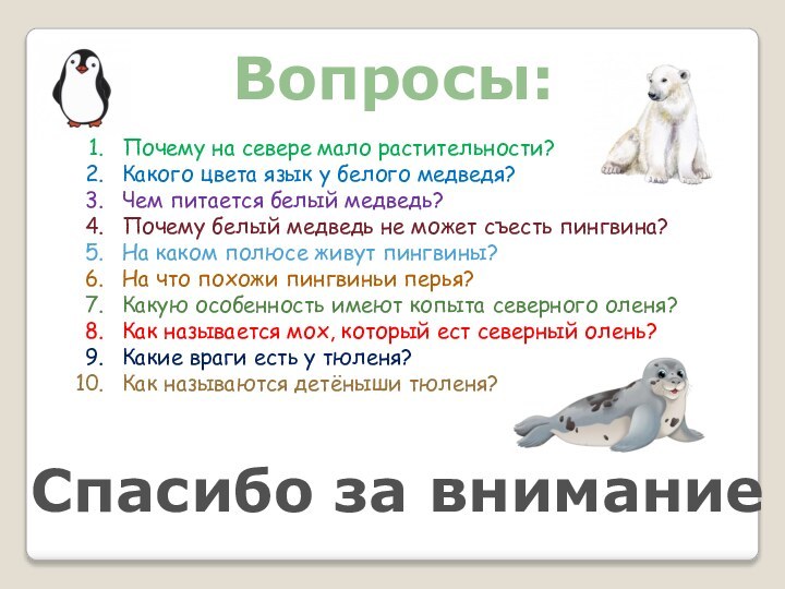 Вопросы:Почему на севере мало растительности?Какого цвета язык у белого медведя?Чем питается белый