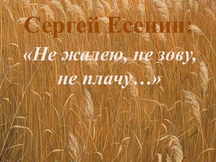 Сергей Есенин:«Не жалею, не зову, не плачу…»