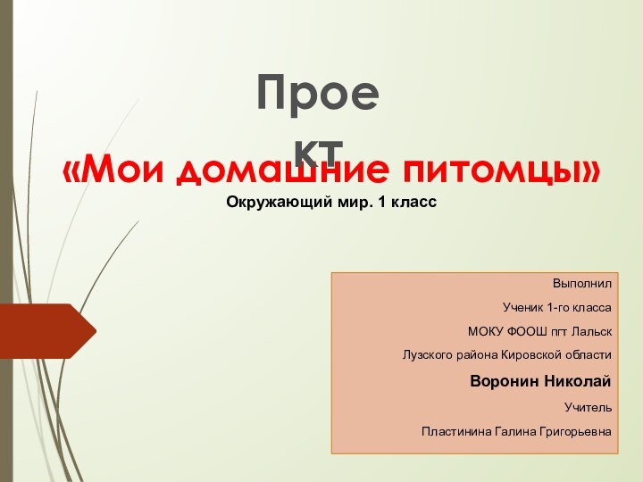 «Мои домашние питомцы» Окружающий мир. 1 классВыполнилУченик 1-го классаМОКУ ФООШ пгт ЛальскЛузского