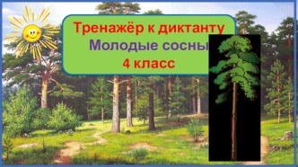 Тренажер к диктанту Молодые сосны, 4 класс, 3 четверть