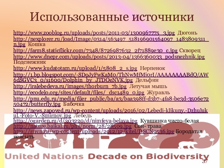 Использованные источникиhttp://www.zooblog.ru/uploads/posts/2011-03/1300967775_3.jpg Дюгоньhttp://nexplorer.ru/load/Image/0314/563497_518196901564097_1483809311_n.jpg Кошкаhttp://farm8.staticflickr.com/7348/8726987632_2f71889e30_c.jpg Скворецhttp://www.dnepr.com/uploads/posts/2013-04/1366360033_podsnezhnik.jpg Подснежникhttp://www.kudatotam.ru/upload/1/5808_2_s.jpg Нерпенокhttp://1.bp.blogspot.com/-SDoJyFwKaM0/ThNwMfMi0rI/AAAAAAAABdQ/AW6dSGVC3_0/s1600/Dolphin_by_JTDOeNVK.jpg Дельфинhttp://iralebedeva.ru/images/thorburn_7b.jpg Летучая мышьhttp://ecodelo.org/sites/default/files/_dsc1489_0.jpg Журавльhttp://pnu.edu.ru/media/filer_public/ba/a3/baa398ff-d3b7-4fa8-be3d-3506e7250472/butterfly.jpg Бабочкаhttp://news.zapoved.ru/wp-content/uploads/2016/02/Lebedi-klikuny.-Dzhulukul.-Foto-V.-Smirnov.jpg