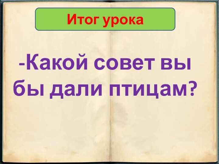 Итог урока-Какой совет вы бы дали птицам?