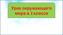 Презентация урока окружающего мира Воздух- это смесь газов, 3 класс