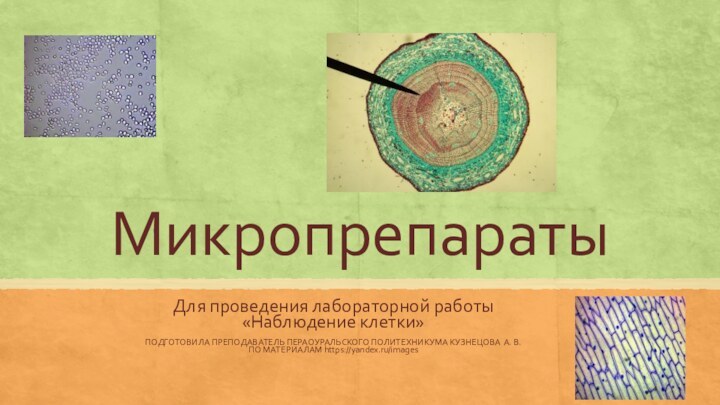 МикропрепаратыДля проведения лабораторной работы «Наблюдение клетки»ПОДГОТОВИЛА ПРЕПОДАВАТЕЛЬ ПЕРАОУРАЛЬСКОГО ПОЛИТЕХНИКУМА КУЗНЕЦОВА А. В. ПО МАТЕРИАЛАМ https://yandex.ru/images