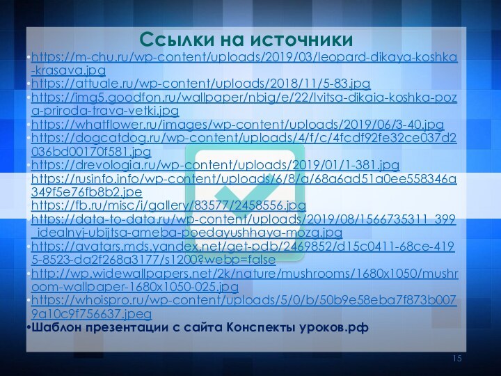 Ссылки на источникиhttps://m-chu.ru/wp-content/uploads/2019/03/leopard-dikaya-koshka-krasava.jpghttps://attuale.ru/wp-content/uploads/2018/11/5-83.jpghttps://img5.goodfon.ru/wallpaper/nbig/e/22/lvitsa-dikaia-koshka-poza-priroda-trava-vetki.jpghttps://whatflower.ru/images/wp-content/uploads/2019/06/3-40.jpghttps://dogcatdog.ru/wp-content/uploads/4/f/c/4fcdf92fe32ce037d2036bd00170f581.jpghttps://drevologia.ru/wp-content/uploads/2019/01/1-381.jpghttps://rusinfo.info/wp-content/uploads/6/8/a/68a6ad51a0ee558346a349f5e76fb8b2.jpehttps://fb.ru/misc/i/gallery/83577/2458556.jpghttps://data-to-data.ru/wp-content/uploads/2019/08/1566735311_399_idealnyj-ubijtsa-ameba-poedayushhaya-mozg.jpghttps://avatars.mds.yandex.net/get-pdb/2469852/d15c0411-68ce-4195-8523-da2f268a3177/s1200?webp=falsehttp://wp.widewallpapers.net/2k/nature/mushrooms/1680x1050/mushroom-wallpaper-1680x1050-025.jpghttps://whoispro.ru/wp-content/uploads/5/0/b/50b9e58eba7f873b0079a10c9f756637.jpegШаблон презентации с сайта Конспекты уроков.рф